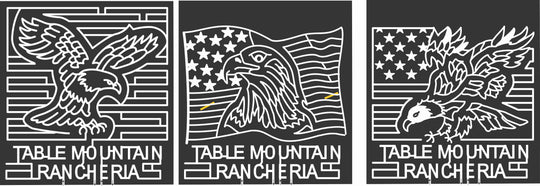 07_CA_Fresno_A California, Eagle, Bird, Animal, America, Flag, American.jpg