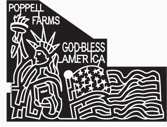 07_GA_Odum Georgia, Statue of Liberty, Flag, America, American, patriotic.jpg