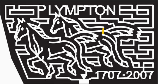 07_MA_Plympton Massachusetts, Horse, Animal, gallup.jpg