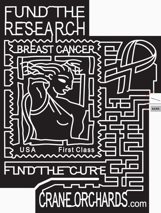 07_MI_Fennville Michigan, Breast Cancer, Cancer, Ribbon, stamp, cure.jpg