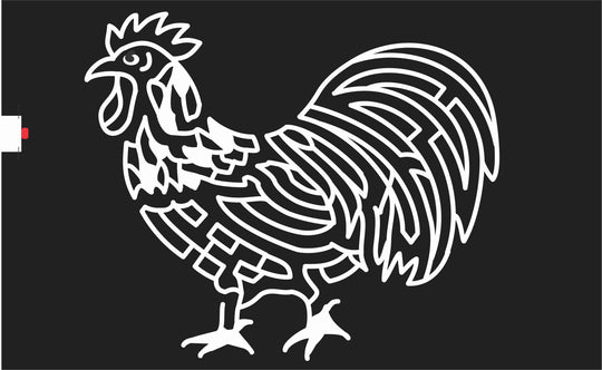 08_IN_Brookville Indiana, Rooster, Chicken, Animal, 2008.jpg