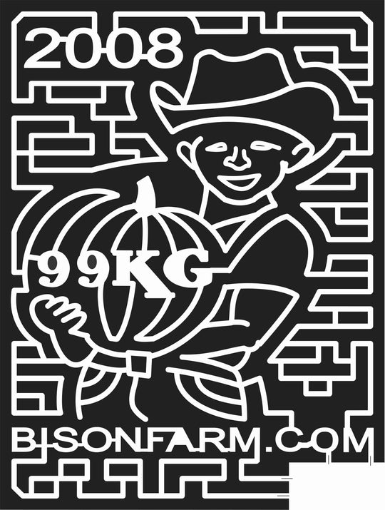 08_KS_Assaria Kansas, Pumpkin, Boy, Hat, Cowboy, face, 99kg, 2008.jpg