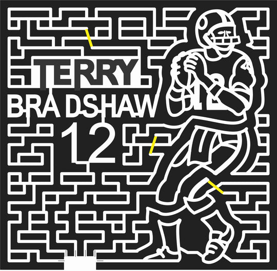 08_LA_Shreveport Louisiana, Football, Player, terry bradshaw, sports, 2008.jpg