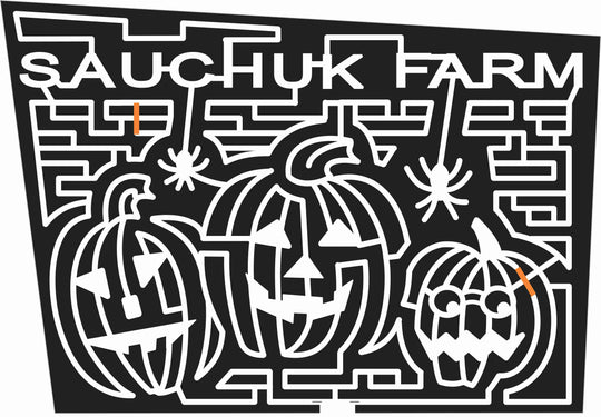 08_MA_Plympton Massachusetts, Pumpkin, jack o'lantern, Spider, 2008.jpg