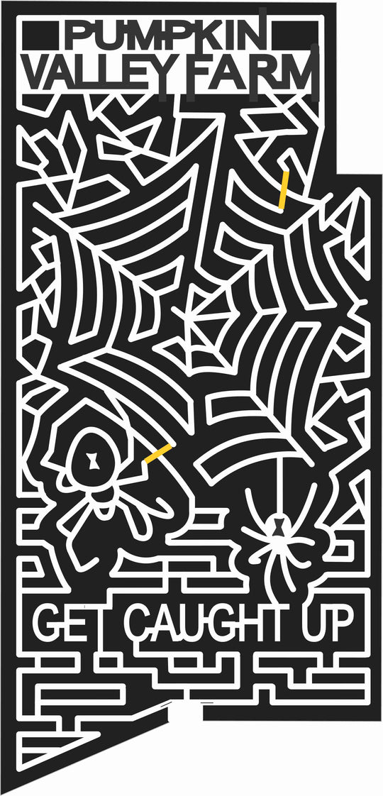 08_ME_Dayton Maine, spiderweb, Spider, 2008.jpg