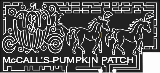 08_NM_Moriarty New Mexico, Pumpkin, carriage, Horse, Cinderella, disney, movie, princess, famous, ball, pumpkin, 2008.jpg