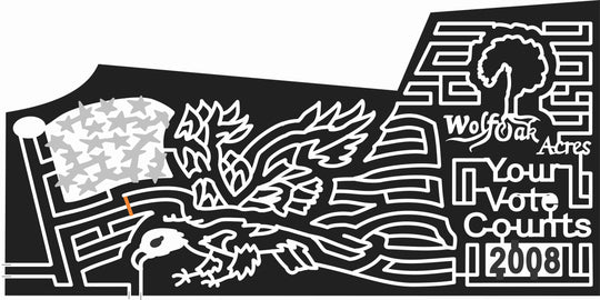 08_NY_Onieda New York, Eagle, Flag, America, American, vote, United States, wolf oak acres, logo, 2008.jpg