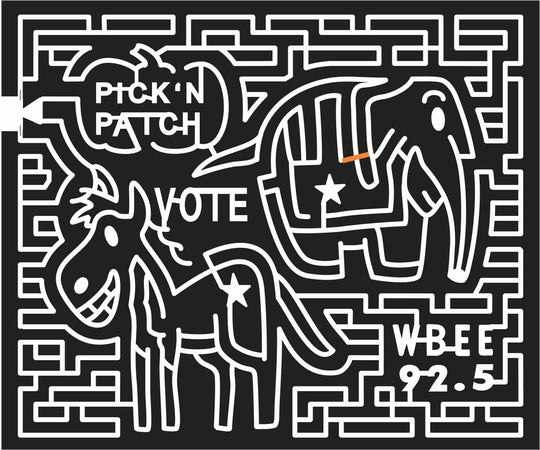 08_NY_Stanley New York, elephant, donkey, vote, politics, republican, democrat, 2008.jpg