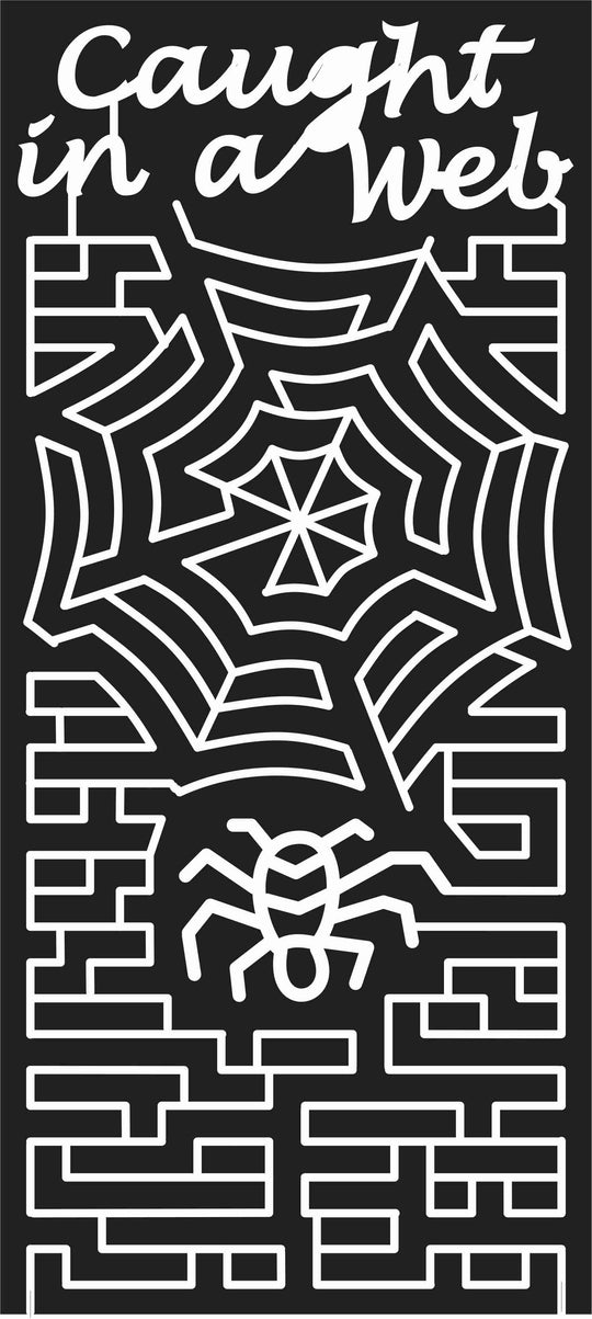 08_SC_Darlington A South Carolina, Spider, spiderweb, 2008, caught, .jpg