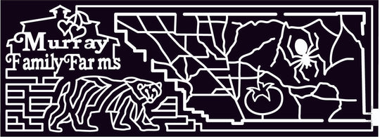 09_CA_Bakersfield California, Spider, Tomato, farm, Animal, 2009,