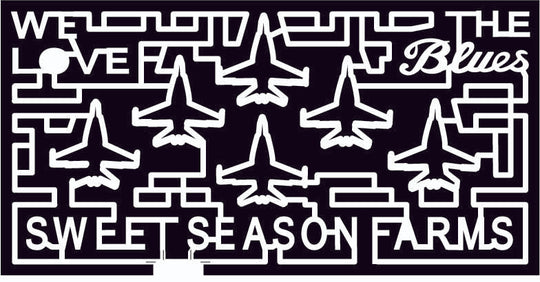 09_FL_Milton Florida, jet, airplane, air force, logo, 2009, blues