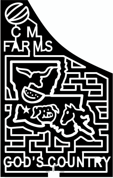 09_LA_Reeves Pig, Horse, Watermelon, state, shape, Lousiana, Horn, Bull, 2009, Animals