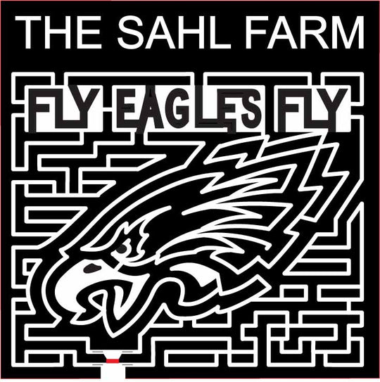 09_NJ_Egg Harbor New Jersey, Bird, Animal, eagles, mascot, logo, 2009