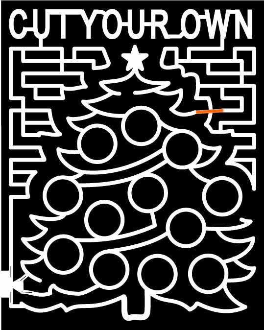 09_TX_Brookshire Texas, Christmas Tree, Tree, star, ornament, Christmas, holiday, 2009