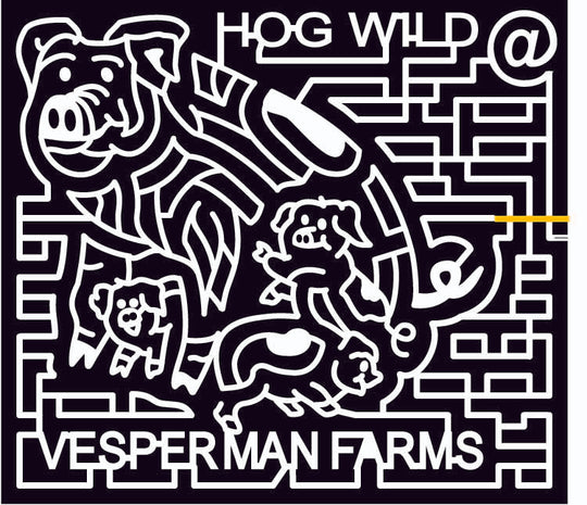 09_WI_Lancaster Wisconsin, Pig, Hog, piglets, Animals, 2009