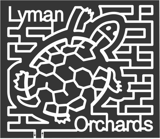 10_CT_Middlefield B Orchards, Animal, Connecticut, lyman, turtle, 2010