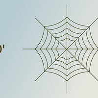 Spider Web - The MAiZE