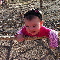 Spider Web - The MAiZE