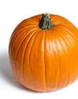 Curb Size Pumpkin Pick Up - The MAiZE