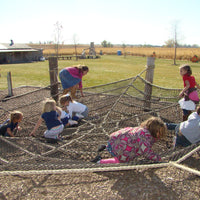 Spider Web - The MAiZE