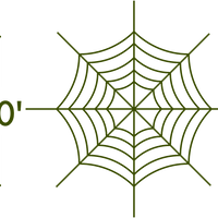 Spider Web - The MAiZE