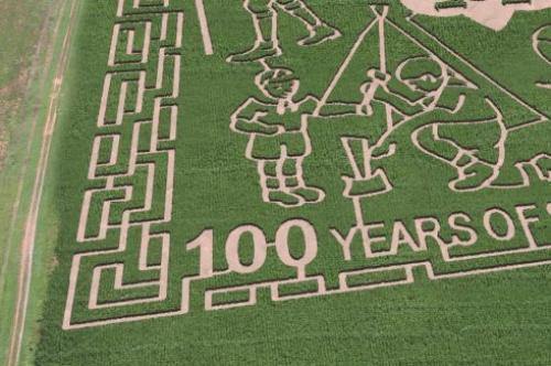 Custom Corn Maze Mock Up - The MAiZE