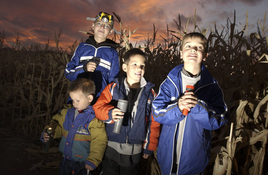 Maze_Boys_flashlights smiling spooky sunset.jpg