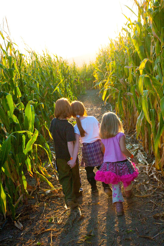 Maze_Kids_Walking away Path.jpg