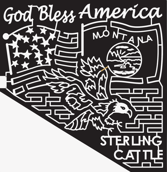 07_MT_Wolfcreek Montana, Flag, America, Eagle, Animal.jpg