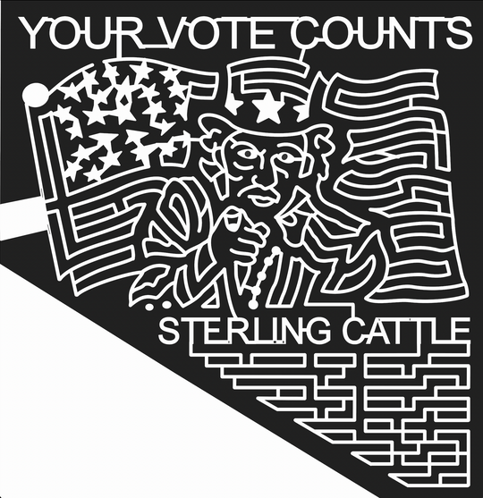 08_MT_Wolf_Creek Montana, Flag, American, United States, vote, politics, patriotic, 2008.jpg
