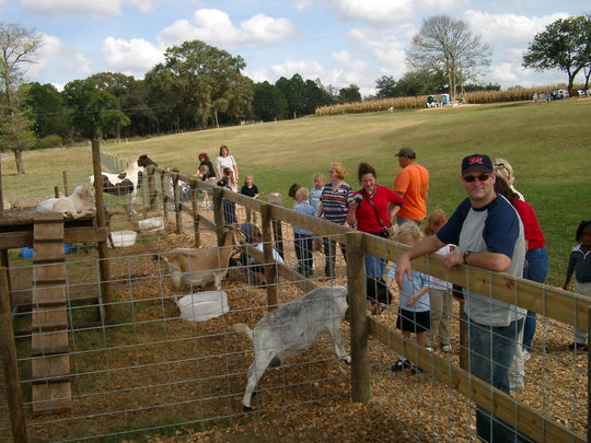 animals10.jpg