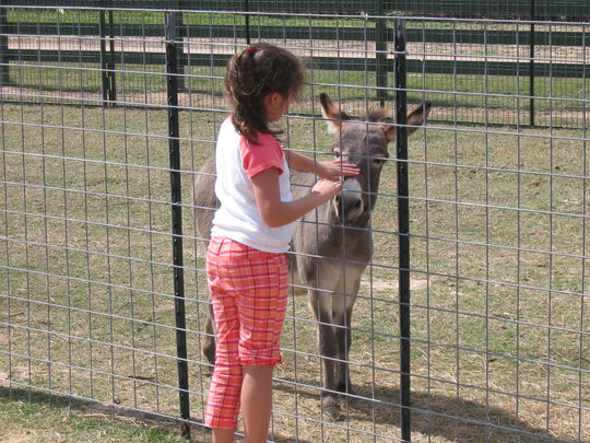 animals13.JPG