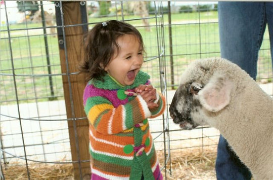 animals1.jpg