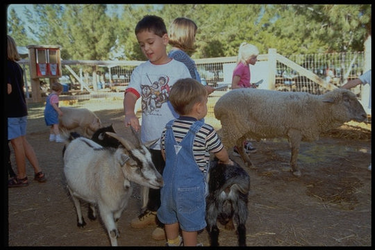 animals2.jpg