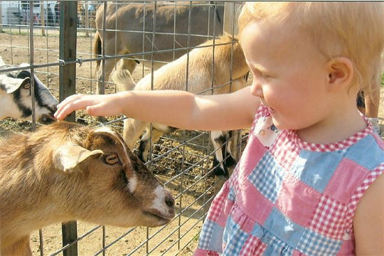 animals3.jpg