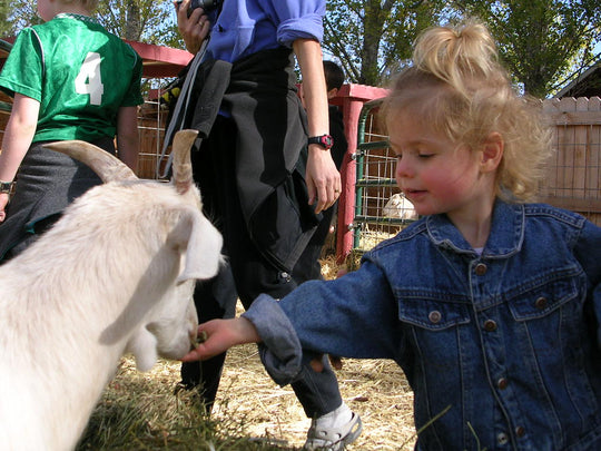 animals6.JPG