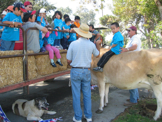 animals9.JPG