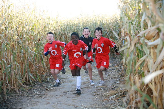 boys in corn.JPG