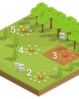 Campfire Main Demo