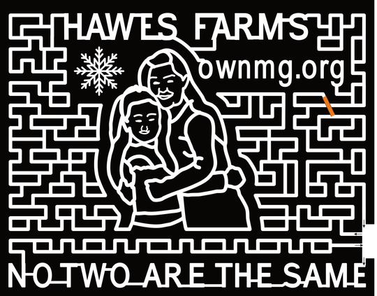 23_CA_Anderson ownmg.org, No Two Are The Same, Snowflake, People, Hug