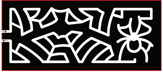 23_CA_Bakersfield Spider, Web, Cobweb, Spiderweb