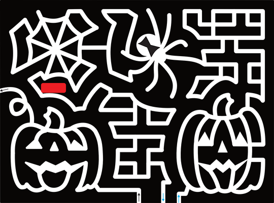 23_FL_Masaryktown Pumpkins, Jack-o-Lantern, Web, Spider, Black Widow,