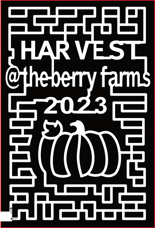 23_FL_Miami(Berry Farm) Harvest @ the Berry Farms 2023, Pumpkin