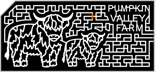 23_ME_Dayton Pumpkin Valley Farm, Highland Cows