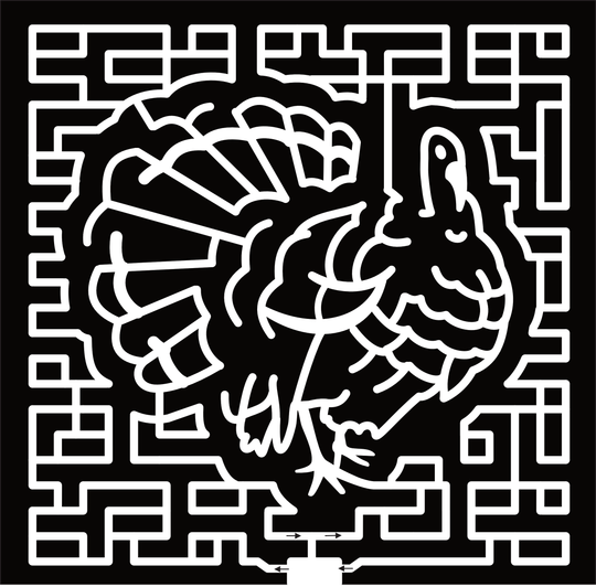 23_MN_Savage Turkey, Bird