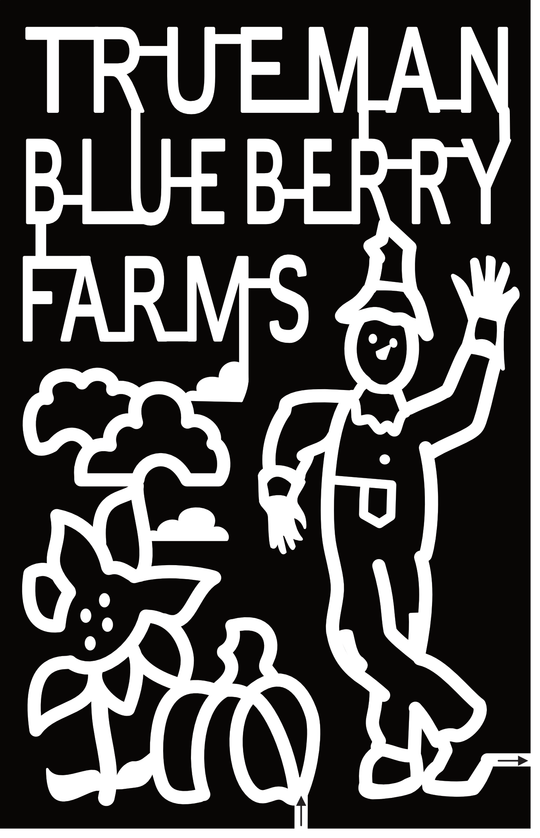 23_NB_Aulac2 Trueman Blueberry Farms, Cloud, Flower, Pumpkin, Scarecrow
