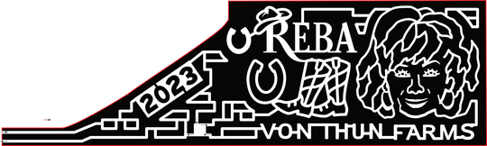 23_NJ_Washington Reba, Cowboy Boots, Face, 2023, Horse Shoe, Cowboy Hat