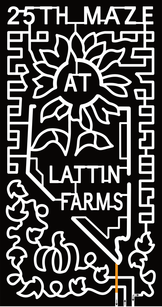 23_NV_Fallon 25th Maze at Lattin Farms, Sunflower, Nevada state, Pumpkin, Leaves