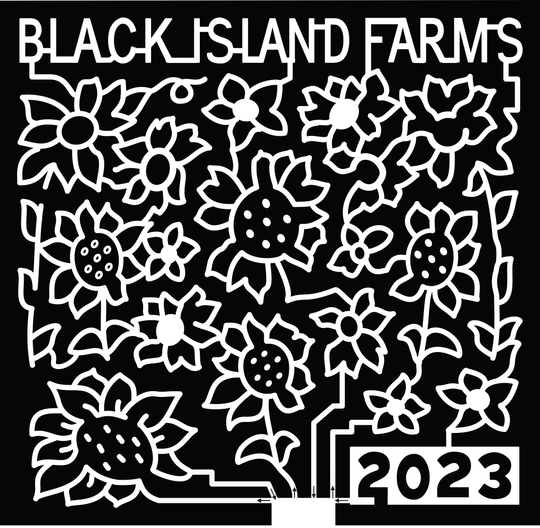 23_UT_Layton Sunflower, Black Island Farms, 2023