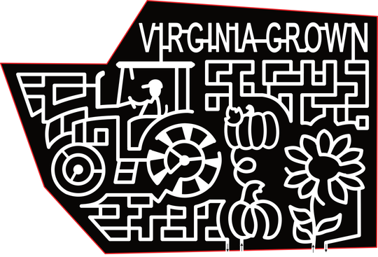 23_VA_Buffalo Junction Virginia Grown, Sunflower, Pumpkin, Tractor